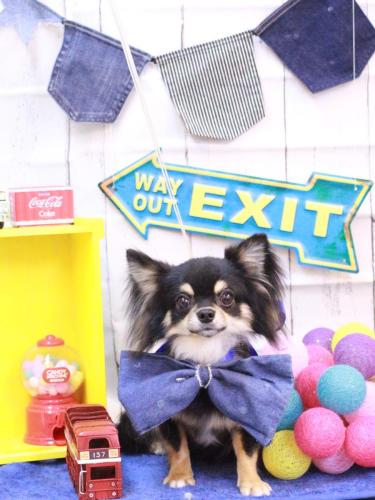 20230409コロクくん